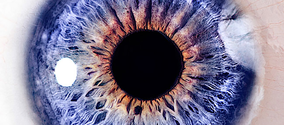 广告设计公司品牌形象