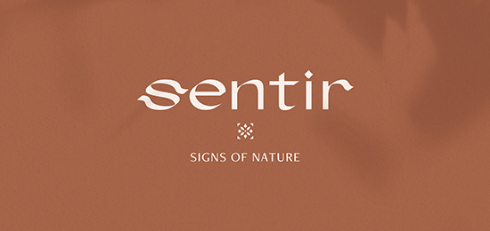 围巾品牌形象设计