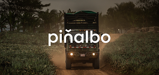 水果品牌形象设计