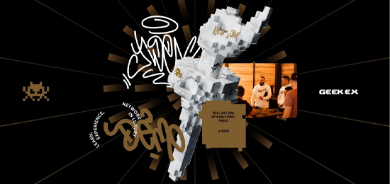 营销会议极客EX的品牌标识与标志设计和网站